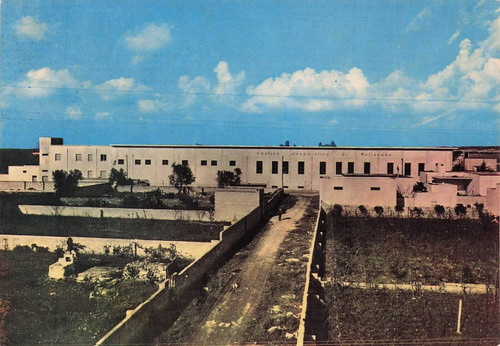 92d cartolina melissano - 41-92d),