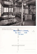 Capanna G. Lorenzi (interno) alla  Forcella Staunies -Monte Cristallo