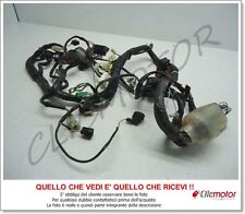CAVI MATASSA IMPIANTO ELETTRICO CABLAGGIO HONDA SILVER WING 600 ABS ANNO 2008
