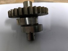 Albero a camme con ingranaggio