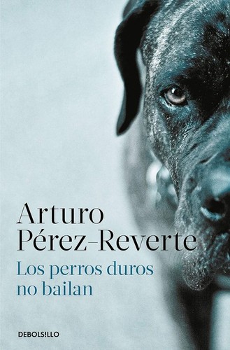 Libri perez reverte arturo - libri, perez-reverte