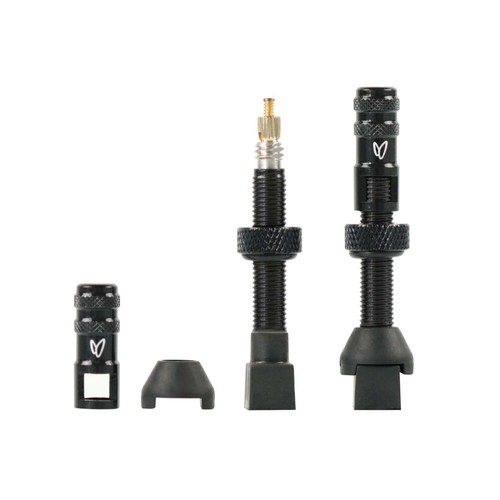 Coppia valvole tubeless