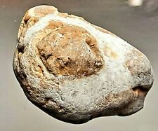 Pietra Grezza Quarzite 159 ct.