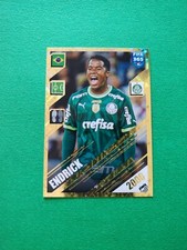PANINI FIFA 365 2024 ENDRICK