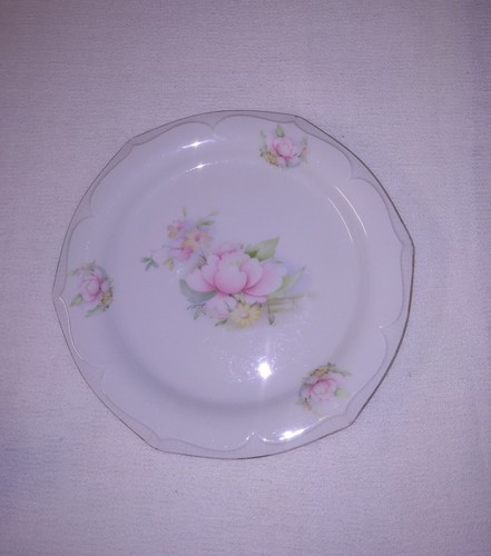 Piatto porcellana limoges - piatto,