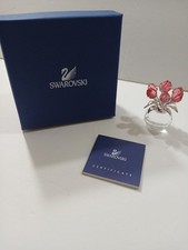 Tulipani rosa cristallo