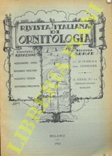 R.I.O. - (Lofts, Schreiber, Mainardi, Tornielli, Raspagni, Di Carlo, Frugis, Bi
