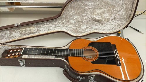 Chitarra acustica asturias - chitarra,