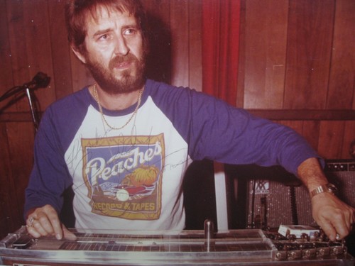 Pedal steel guitar - guitar, buddy