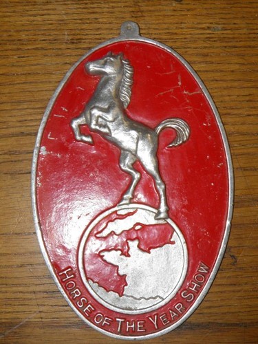 Spettacolo cavallo dell anno - spettacolo,