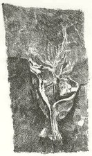 BREDDO Gastone, Senza titolo. Acquaforte 1971