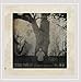 Jesse manley path through - jesse, manley,