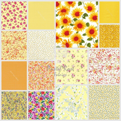 Rose hubble giallo limone - rose,