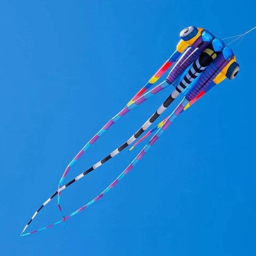 Kites aquiloni giganti 3d - aquiloni,