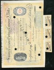 Certificato Azionario Azione