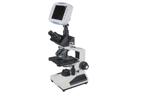 Microscopio trinoculare - microscopio,