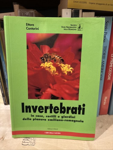 Invertebrati case cortili - case,
