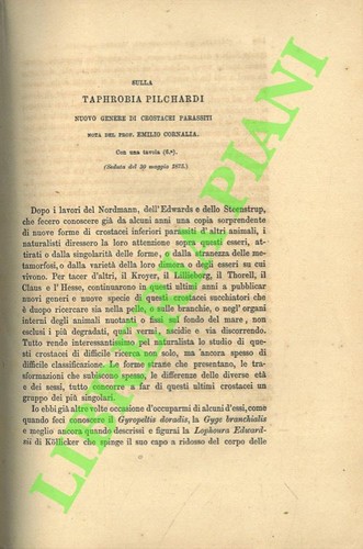 Cornalia emilio sulla - emilio,