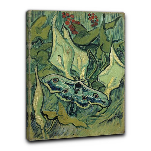 Niik quadro falena imperatrice - quadro,