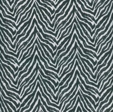 Tessuto zebra tessile - tessuto,