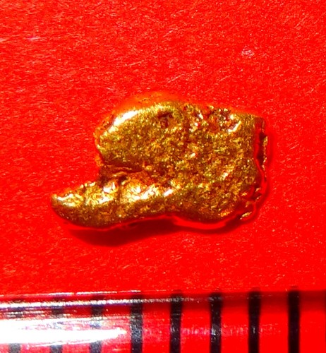 Pepite oro xxl - pepite, d'oro