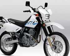 CILINDRO SUZUKI DR650SE 2001-2024 11211-32E10-0F0 revisione riparazione importante motore