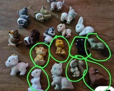 11 Cuccioli Cerca Amici