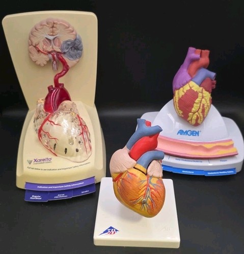 Xarelto modelli espositore - modelli, 3d