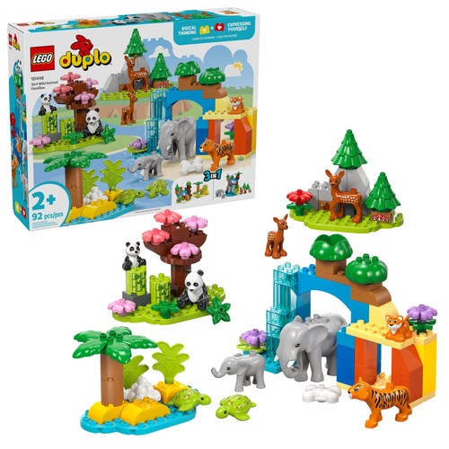 Insegna tuo bambino gli - insegna,