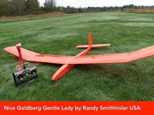 Gentle lady carl goldberg - lady,
