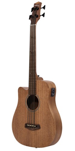 Micro basso elettroacustico