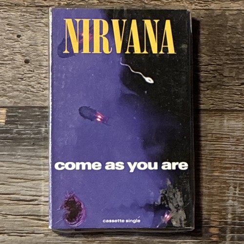 Nirvana come you are - come,