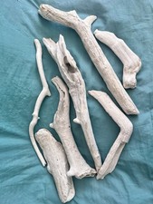 Legni Di Mare Dipinti - Lotto 2