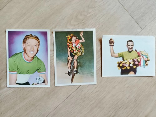 Wim van est gerrit - wim,