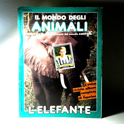 Mondo degli animali - mondo,