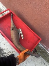 Marmitta Giannelli Espansione