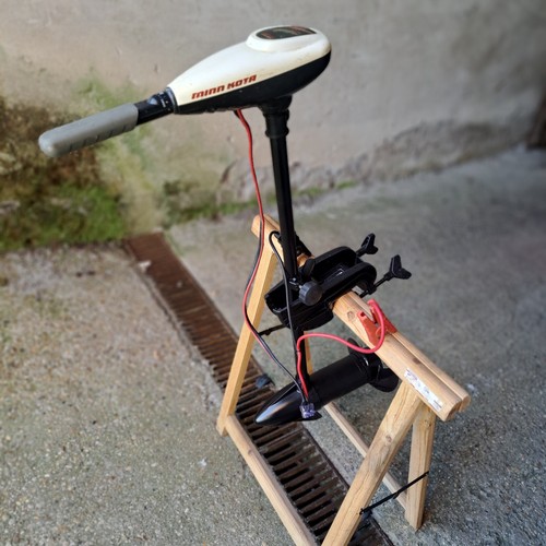 Motore elettrico fuoribordo - elettrico,