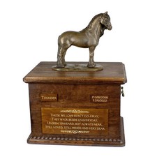 Cavallo Frisone Fattrice Urna