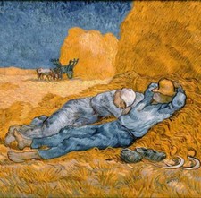 Grafika Van Gogh: La Sieste (D'Apres Millet) Puzzle 1000 pezzi