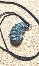 Ciondolo Con Ammoniti