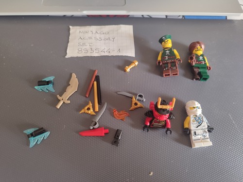 Dgs lego minifigure ninjago - ,