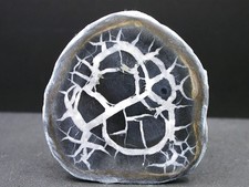 SEPTARIA - MAROC - 5,2 x 5,6 cm -  67 g