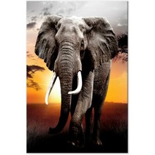 QUADRI MODERNI 100X70 CM