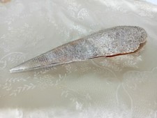 Rarissimo grande esemplare