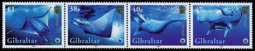 Gibilterra 1037 striscia - gibilterra,