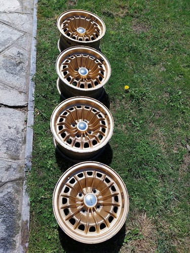 Cerchi campagnolo monzeglio - cerchi,