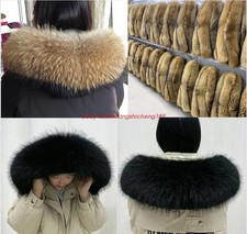 Top 2026 procione vera