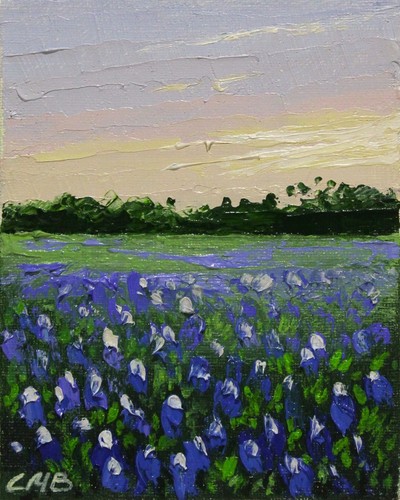 Texas paesaggio bluebonnets - texas,