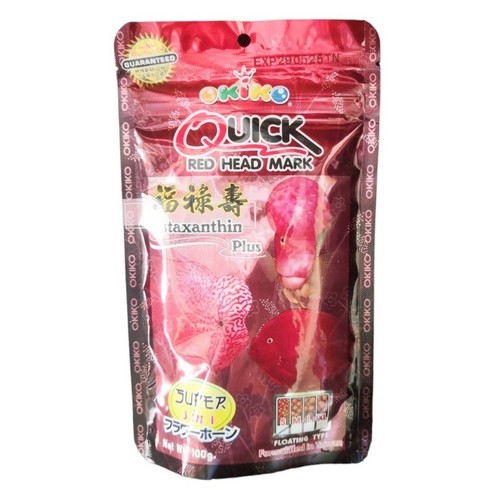 Okiko ciclid flowerhorn - ciclid,