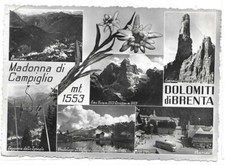 TRENTO (600) - MADONNA DI